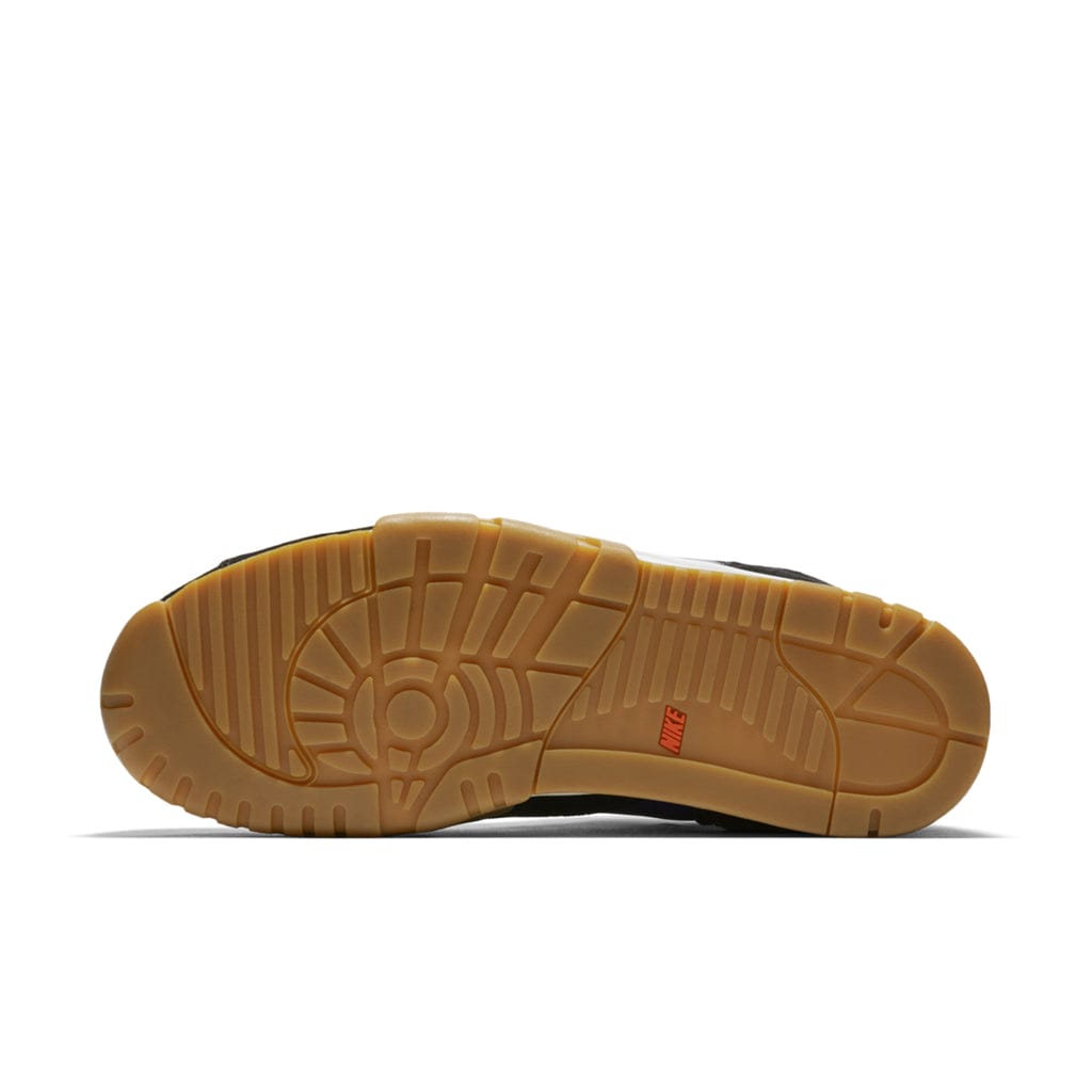 air trainer 1 sole, nike sb