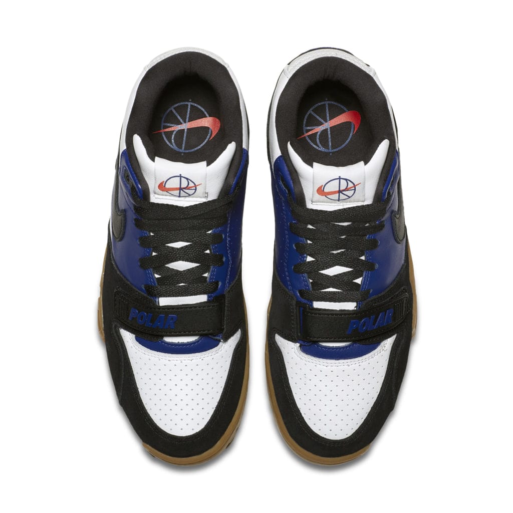 air trainer 1 nikesb, polar skate co