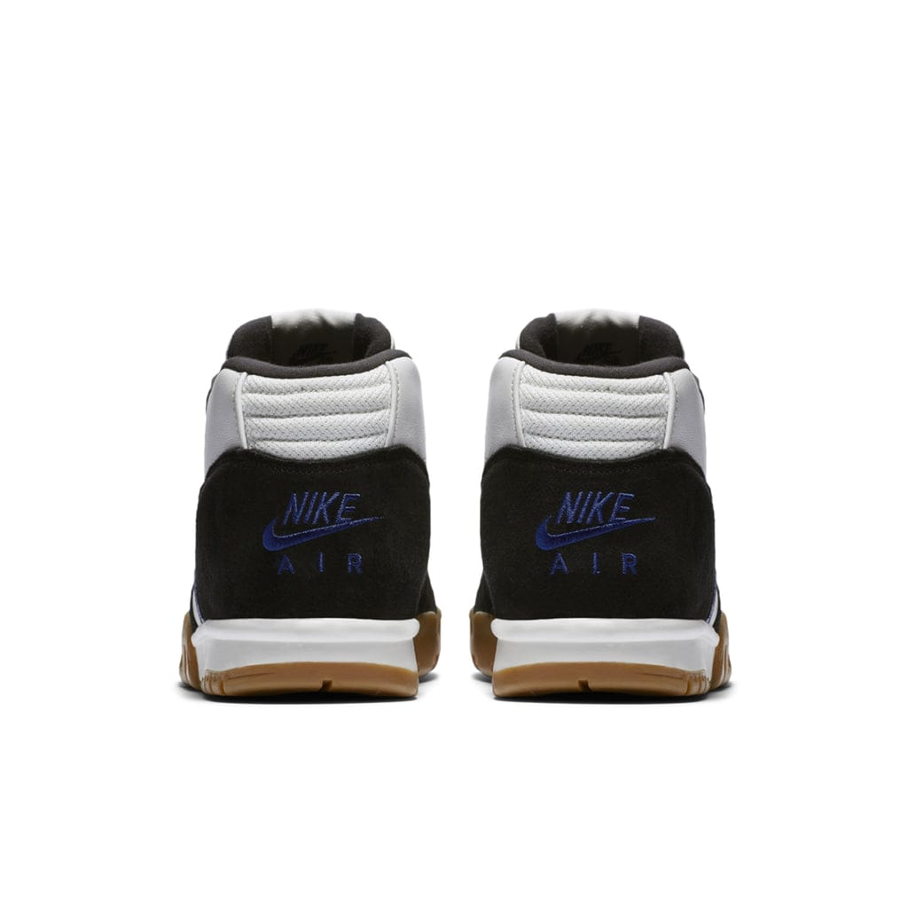 polar skate co, nike sb, air trainer 1 back view