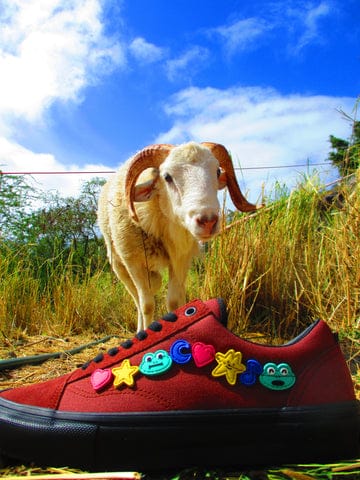 Vans x frog