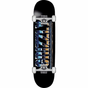 grizzly skateboard complete sittin on chrome 8