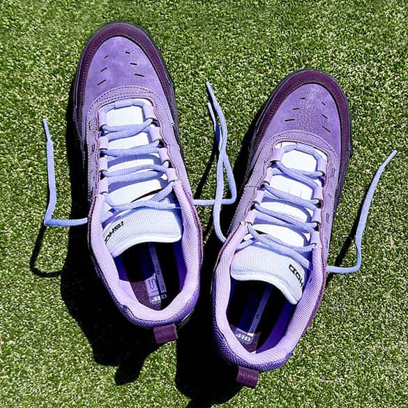 nike sb