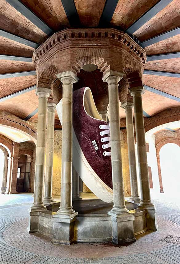 vans skate