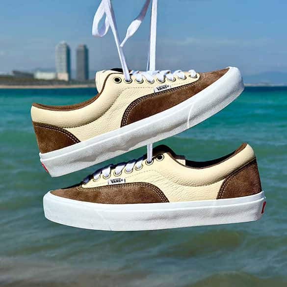 vans skate