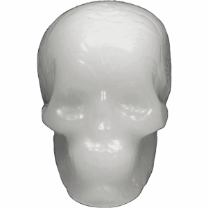 andale wax skull (white)