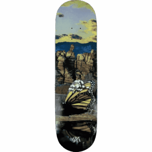 maxallure board reflections 8
