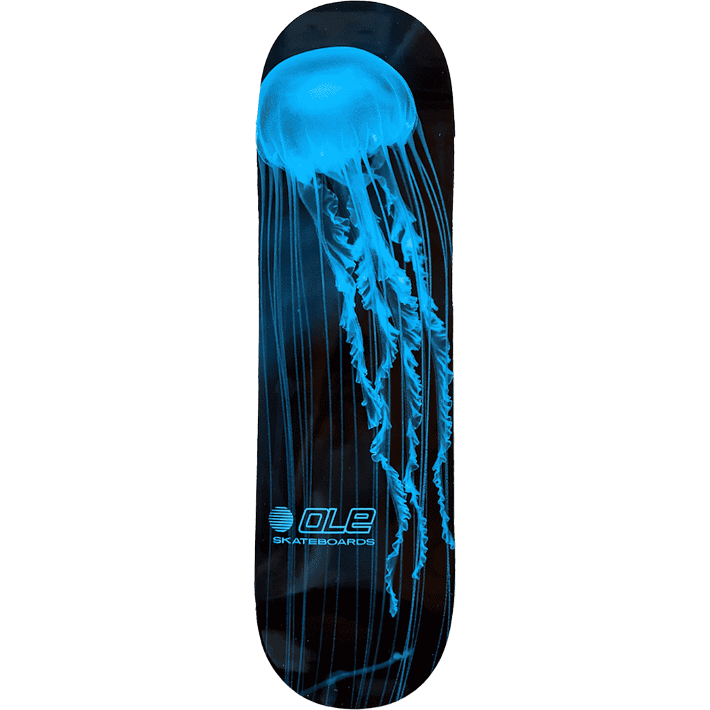 olé board jellyfish 8.5 olé board jellyfish 8.5