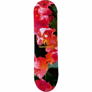 olé board orchid 8